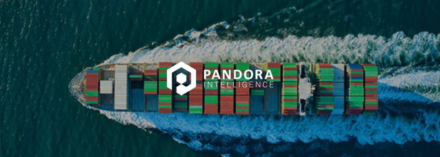 Pandora intelligence website door Vimonto